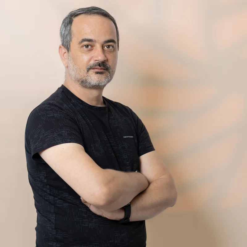 About Sorin Gavenea at Gavenea Studio